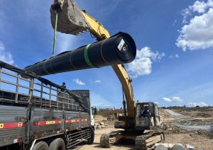 Mang HDPE SigmaGEO (147)