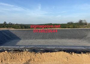 Mang HDPE SigmaGEO (164)