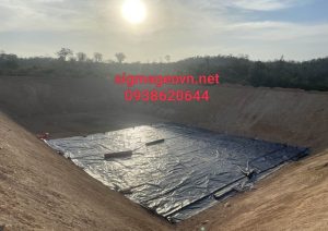 Mang HDPE SigmaGEO (177)