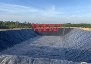 Mang HDPE SigmaGEO (204)