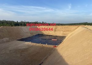 Mang HDPE SigmaGEO (209)